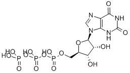 CAS#: 6253-56-1, Xanthosine-5'-Triphosphate