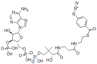 CAS#: 63550-94-7, 4-Azidobenzoyl-Coenzyme A