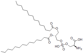 CAS 登录号：64023-32-1， 二肉豆蔻酰基-L-alpha-磷脂酰-L-丝氨酸