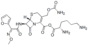 CAS 登录号：65527-51-7， 头孢呋辛赖氨酸