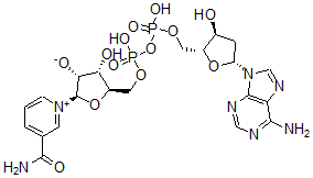 CAS 登录号：6697-37-6， 2'-脱氧烟酰胺腺嘌呤二核苷酸