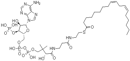 CAS 登录号：6709-57-5， 辅酶 A S-(9Z,12Z)-9,12-十八碳二烯酸酯
