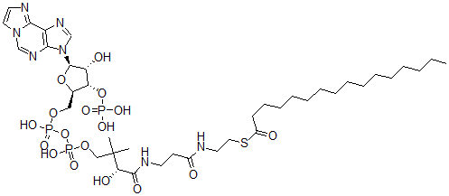 CAS 登录号：69680-31-5， 棕榈酰-(1,N(6))-乙烯桥辅酶 A