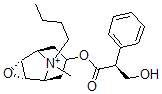 CAS#: 7182-53-8, (S)-alpha-(Hydroxymethyl)Benzeneacetic Acid (1beta,2alpha,4alpha,5beta,7alpha)-9-Butyl-9-Methyl-3-Oxa-9-Azoniatricyclo[3.3.1.02,4]Nonane-7-Yl Ester