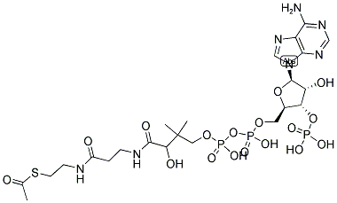 CAS#: 72-89-9, Acetyl Coenzyme A Trilithium Salt Trihydrate