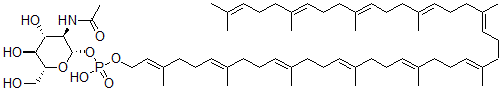 CAS#: 72165-46-9, [(2S,3R,4R,5S,6R)-3-Acetamido-4,5-Dihydroxy-6-(Hydroxymethyl)Oxan-2-Yl] [(2E,6E,10E,14E,18E,22E,26E,30E,34E,38E)-3,7,11,15,19,23,27,31,35,39,43-Undecamethyltetratetraconta-2,6,10,14,18,22,26,30,34,38,42-Undecaenyl] Hydrogen Phosphate