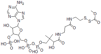 CAS 登录号：72205-57-3， 甲氧羰基-辅酶A 二硫化物
