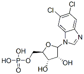 CAS#: 72586-79-9, 5,6-Dichloro-1-Ribofuranosylbenzimidazole 5'-Monophosphate