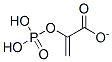 CAS#: 73-89-2, 2-(Phosphonooxy)Acrylate