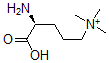 CAS#: 73970-11-3, [(4S)-4-Amino-5-Hydroxy-5-Oxopentyl]-Trimethylazanium