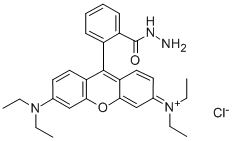 CAS 登录号：74317-53-6， 玫瑰精 B 酰肼