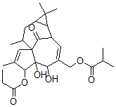 CAS 登录号：74690-92-9， 20-O-异丁酰基-3-O-丙酰基巨大戟醇