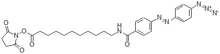 CAS#: 74726-33-3, (2,5-Dioxopyrrolidin-1-Yl) 11-[[4-(4-Azidophenyl)Diazenylbenzoyl]Amino]Undecanoate