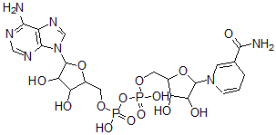 CAS#: 74927-11-0, [5-(6-Aminopurin-9-Yl)-3,4-Dihydroxyoxolan-2-Yl]Methyl [[5-(3-Carbamoyl-4H-Pyridin-1-Yl)-3,4-Dihydroxyoxolan-2-Yl]Methoxy-Hydroxyphosphoryl] Hydrogen Phosphate