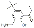 CAS#: 75060-92-3, 2-Aminomethyl-4-Tert-Butyl-6-Propionylphenol