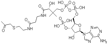 CAS#: 75179-85-0, Acetonyl-Coenzyme A