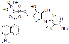 CAS 登录号：75352-13-5， [[(2R,3S,4R,5R)-5-(6-氨基嘌呤-9-基)-3,4-二羟基四氢呋喃-2-基]甲氧基-膦酰氧基磷酰]5-二甲基氨基萘-1-羧酸酯