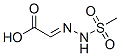 CAS 登录号：75968-31-9， (2E)-2-(甲基磺酰基肼基亚基)乙酸