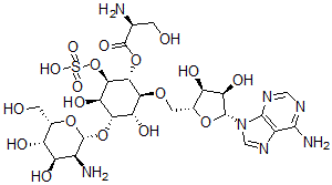CAS#: 76174-56-6, [(1R,2S,3S,4S,5R,6R)-4-[(2R,3S,4R,5S,6S)-3-Amino-4,5-Dihydroxy-6-(Hydroxymethyl)Oxan-2-Yl]Oxy-2-[[(2R,3S,4R,5R)-5-(6-Aminopurin-9-Yl)-3,4-Dihydroxyoxolan-2-Yl]Methoxy]-3,5-Dihydroxy-6-Sulfooxycyclohexyl] (2S)-2-Amino-3-Hydroxypropanoate