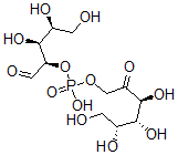 CAS 登录号：77193-03-4， [(3S,4R,5R)-3,4,5,6-四羟基-2-氧代己基][(2R,3S,4S)-3,4,5-三羟基-1-氧代戊烷-2-基]氢磷酸酯