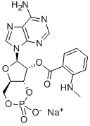 CAS#: 83707-14-6, Adenosine, Cyclic 3',5'-(Hydrogen Phosphate), 2'-[2-(Methylamino)Benzoate]