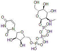 CAS 登录号：84283-22-7， 尿苷 5'-(三氢二磷酸酯),单(2-脱氧-2-(甲基氨基)-O-膦酰-alpha-D-吡喃葡萄糖基)酯