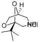 CAS#: 84508-88-3, 5-tert-Butyl-6,8-Dioxa-3-Azabicyclo(3.2.1)Octane Hydrochloride