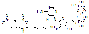 CAS#: 84563-30-4, 8-(2,4-Dinitrophenyl-2,6-Aminohexyl)Aminoadenosine 5'-Triphosphate