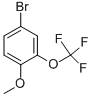 CAS#: 853771-88-7, 4-Bromo-2-(Trifluoromethoxy)Anisole