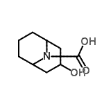 CAS 登录号：854733-35-0， 3-羟基-9-氮杂双环[3.3.1]壬烷-9-羧酸