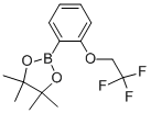 CAS#: 864754-11-0, 4,4,5,5-Tetramethyl-2-[2-(2,2,2-Trifluoro-Ethoxy)-Phenyl]-[1,3,2]Dioxaborolane
