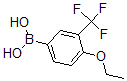 CAS 登录号：871329-83-8， B-[4-乙氧基-3-(三氟甲基)苯基]-硼酸