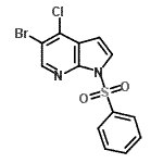 CAS 登录号：876343-81-6， 5-溴-4-氯-1-(苯磺酰基)-1H-吡咯并[2,3-b]吡啶