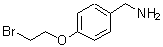 CAS#: 887580-80-5, 1-[4-(2-Bromoethoxy)phenyl]methanamine