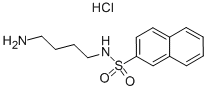 CAS#: 89108-46-3, N-(4-Aminobutyl)-2-Naphthalenesulfonamide Hydrochloride