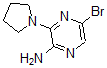 CAS 登录号：893611-72-8， 5-溴-3-(1-吡咯烷基)-2-吡嗪胺