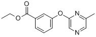 CAS 登录号：906352-99-6， 3-[(6-甲基-2-吡嗪基)氧基]-苯甲酸乙酯