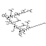 CAS 登录号：908012-18-0， N<sup>2</sup>-十四碳酰-L-精氨酰-L-亮氨酰-L-酪氨酰-L-精氨酰-L-赖氨酰-L-精氨酰-L-异亮氨酰-L-色氨酰-L-精氨酰-L-丝氨酰-L-丙氨酰甘氨酰-L-精氨酸