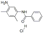 CAS 登录号：93777-30-1， N-(5-氨基-2,4-二甲基苯基)苯甲酰胺单盐酸盐