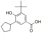 CAS#: 93777-77-6, 3-Cyclopentyl-5-Tertert-Butyl-4-Hydroxybenzoic Acid
