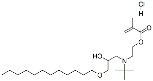 CAS 登录号：93893-00-6， 2-[(1,1-二甲基乙基)[3-(十二烷基氧基)-2-羟基丙基]氨基]乙基甲基丙烯酸酯盐酸盐