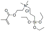 CAS#: 94134-22-2, Dimethyl[2-[(2-Methyl-1-Oxoallyl)Oxy]Ethyl][3-(Triethoxysilyl)Propyl]Ammonium Chloride