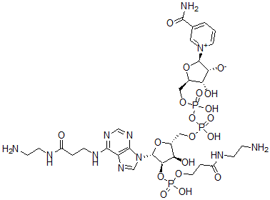 CAS#: 95754-68-0, 2'-(O)-(N-(2-Aminoethyl)Carbamoylethyl)Phosphono-N(6)-(N-(2-Aminoethyl)Carbamoylethyl)-NAD