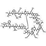 CAS 登录号：96182-95-5， N-({(3S,6S,9S,12R,17R,20S,23S,26S,29S,32S,35S,38S,41S,44S,49aS)-3,6,20,38,41-五(4-氨基丁基)-26-[(2S)-2-丁炔基]-35-(2-羧基乙基)-44-(羧甲基)-23-(4-羟基苄基)-9-[(1R)-1-羟基乙基]-17-[(L-异亮氨酰-L-苯丙氨酰-L-赖氨酰-L-赖氨酰-L-alpha-谷氨酰-L-alpha-天冬氨酰)氨基]-29,32-二异丙基-1,4,7,10,18,21,24,27,30,33,36,39,42,45-十四碳氧代己四十碳氢-1H-吡咯并[2,1-p][1,2,5,8,11,14,17,20,23,26,29,32,35,38,41,44]二硫杂十四碳氮杂环庚并四c酮锡-12-基}羰基)-L-丝氨酰-L-缬氨酰-L-丝氨酰-L-alpha-谷氨酰-L-色氨酰甘氨酰-L-异亮氨酸