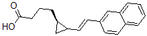 CAS 登录号:96314-49-7, 8-(2-萘基)-5,6-反式-5,6-甲桥-7-辛烯酸