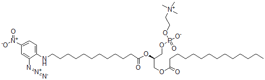 CAS 登录号：96912-01-5， 1-肉豆蔻酰基-2-[12-(2-叠氮基-4-硝基苯胺基)月桂酰基]磷脂酰胆碱