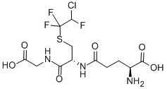 CAS 登录号：97058-30-5， S-(2-氯-1,1,2-三氟乙基)谷胱甘肽
