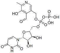 CAS 登录号：97654-04-1， 尿苷二磷酸吡哆醛