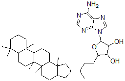 CAS 登录号：97885-00-2， 30-(5'-腺苷)何帕烷