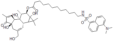 CAS 登录号:98897-17-7, 12-O-(12-N-丹磺酰氨基月桂酰基)佛波醇